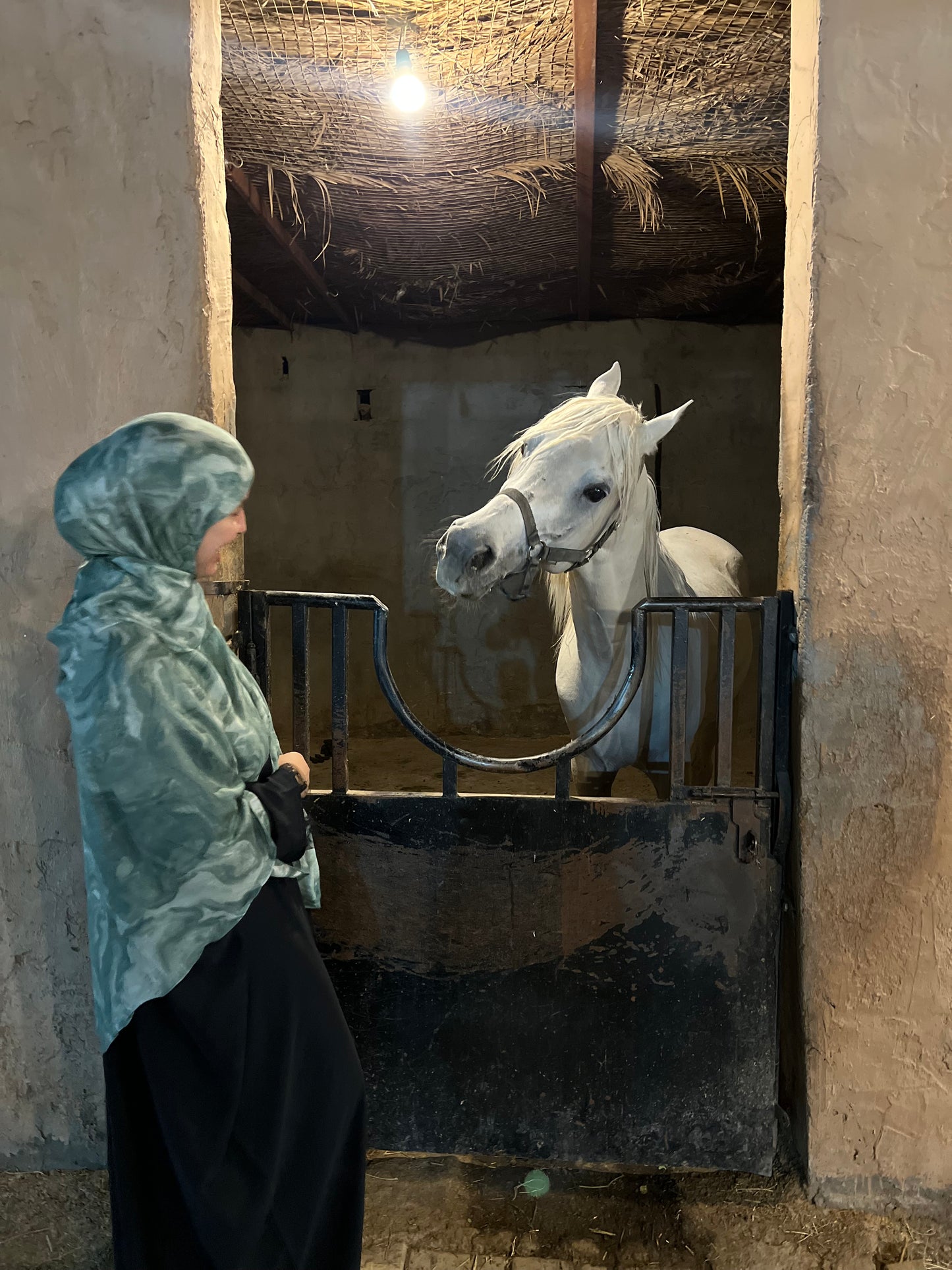 Hijab AUBE